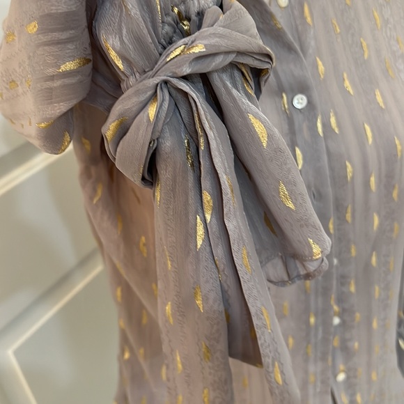 Banana Republic Sheer Metallic Button Down Blouse - Picture 2 of 5